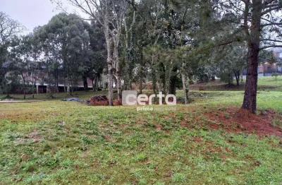 Terreno à venda em Vivendas do Arvoredo, Gramado 