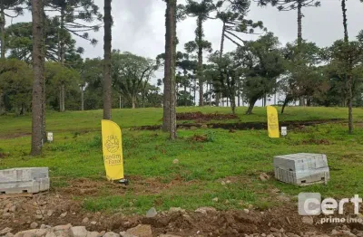 Terreno à venda, 421 m² -jardim do farol - canela/rs