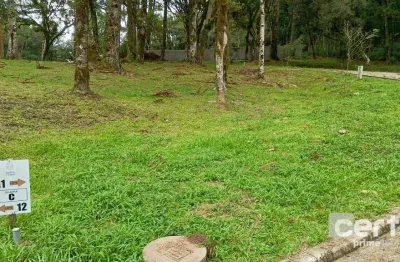 Terreno à venda, 421 m² jardim do farol - canela/rs