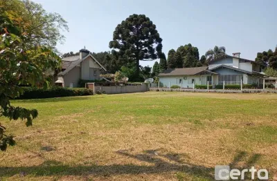 Terreno à venda na Suzana, Canela 