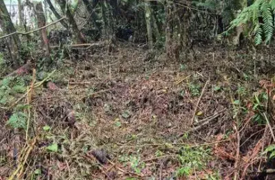 Terreno à venda no Alpes Verdes, Canela 