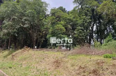 Terreno à venda na São Luiz, Canela 