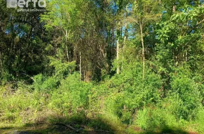 Lindo terreno plano arborizado em gramado-rs muito bem localizado