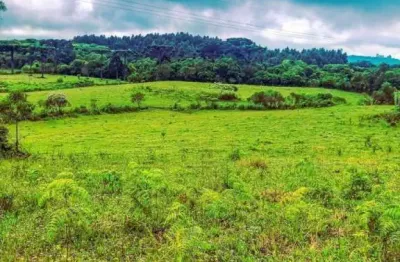 Grande oportunidade, sítio à venda, 70.000 m²- serra grande - gramado/rs