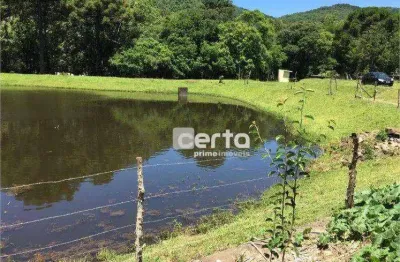 Sítio à venda, 52211 m² por r$ 850.000,00 - morro calçado - canela/rs