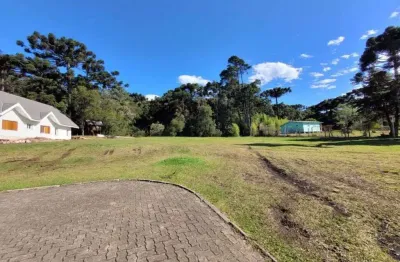 Terreno residencial à venda, altos pinheiros, canela