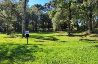 Terreno em condomínio fechado à venda no Centro, Canela 
