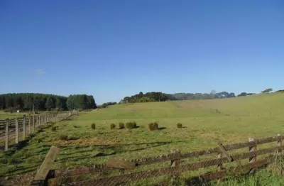 Terreno à venda no Saiqui, Canela 