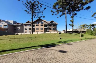 Terreno residencial à venda, altos pinheiros, canela