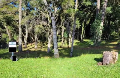 Terreno residencial à venda, altos pinheiros canela