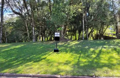 Terreno residencial à venda, altos pinheiros canela