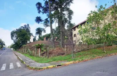 Terreno residencial à venda, vila maggi, canela - te0375.