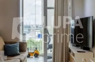Apartamento com 3 quartos para venda, vila guilherme, são paulo
