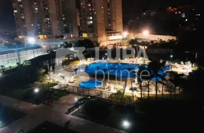 Apartamento com 3 quartos para venda, mandaqui, são paulo
