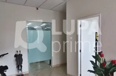 Casa comercial com 348m² para locação, parque edu chaves, são paulo