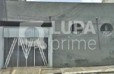 Terreno residencial com 176m² para venda, vila gustavo, são paulo