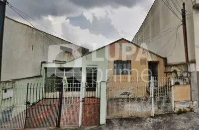 Terreno residencial com 350m² para venda, vila maria alta, são paulo