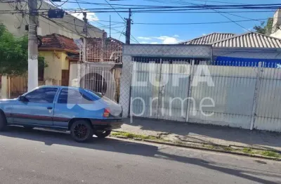 Casa térrea com 3 quartos terreno 500m² e 2 vagas de garagem para venda, vila maria baixa, são paulo