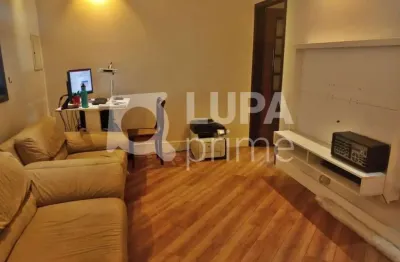 Casa térrea com 3 quartos para venda, vila gustavo, são paulo