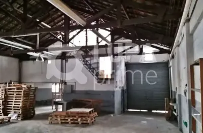 Galpão comercial com 226m² para venda, vila guilherme, são paulo