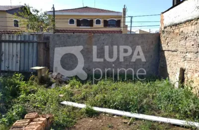 Terreno à venda na vila sabrina com 200 m² |  10 x 20 |  totalmente plano