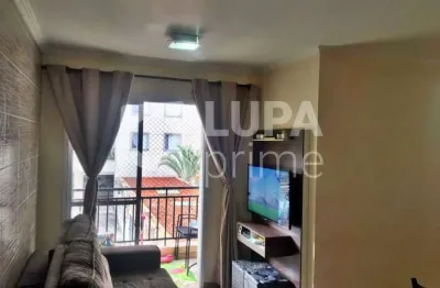 Apartamento com 2 quartos para venda, vila gustavo, são paulo
