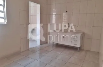 Apartamento com 3 quartos para locação, vila maria, são paulo
