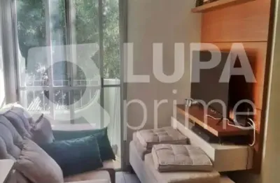 Apartamento com 2 quartos para venda, tucuruvi, são paulo