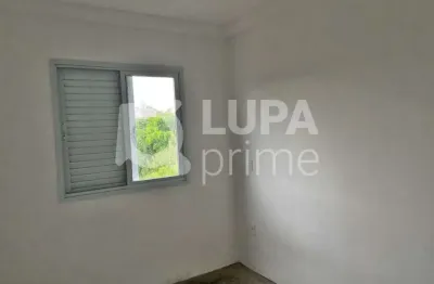 Apartamento com 2 quartos para venda, vila maria alta, são paulo