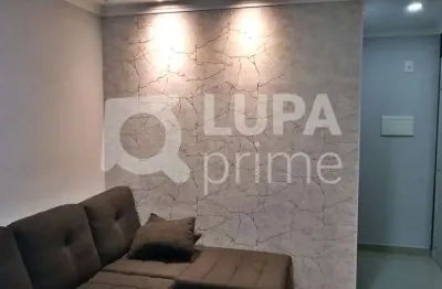 Apartamento com 3 quartos para venda, vila guilherme, são paulo