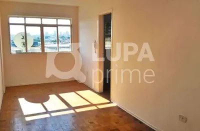 Apartamento com 2 quartos para locação, vila maria baixa, são paulo