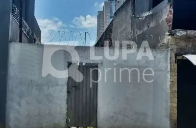 Terreno residencial com 375m² para locação, vila guilherme, são paulo
