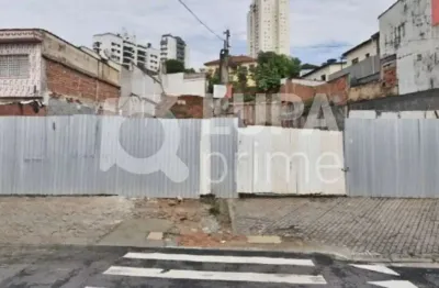 Terreno com 635m² para venda, vila maria, são paulo