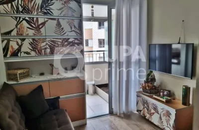 Apartamento com 3 quartos para venda, jaçana, são paulo
