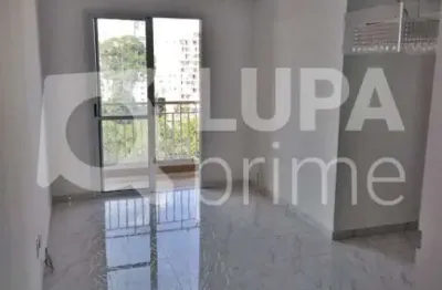 Apartamento com 3 quartos para venda, vila maria alta, são paulo