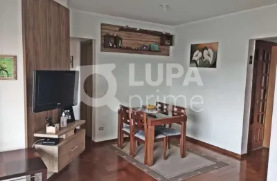 Apartamento com 3 quartos para venda, mandaqui, são paulo