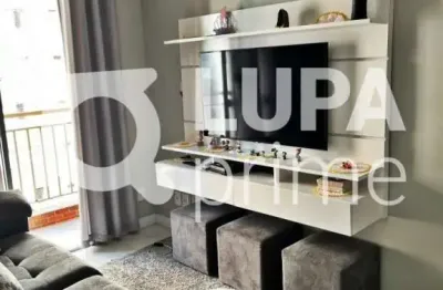 Apartamento com 2 quartos para venda, jardim flor da montanha, guarulhos