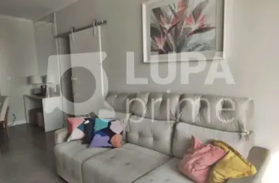 Apartamento com 3 quartos/suíte, 2 vagas, para venda, vila maria alta, são paulo
