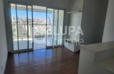 Apartamento com 2 dormitórios à venda no jardim são paulo
