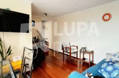 Apartamento com 2 quartos à venda na Avenida Parada Pinto, 3420, Vila Nova Cachoeirinha, São Paulo