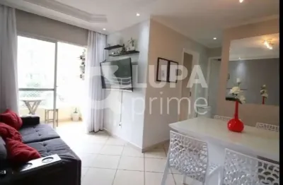 Apartamento com 2 dormitórios de 52m² à venda, na vila amélia