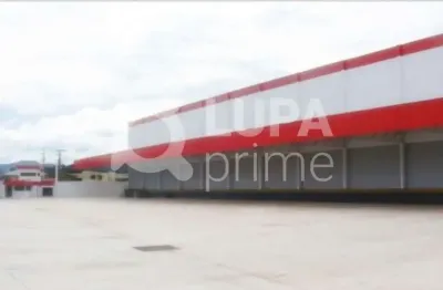 Barracão / galpão / depósito para alugar na rua joaquina de jesus, 706, parque santo agostinho, guarulhos, 8000 m2 por r$ 270.000