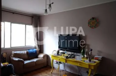 Apartamento com 3 dormitórios de 93m² à venda, no jardim são paulo