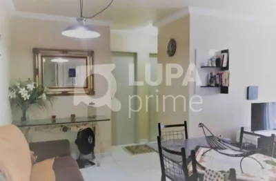 Apartamento com 2 dormitórios à venda na santa teresinha