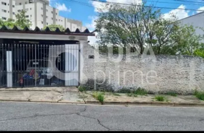 Terreno 2 frentes, com potencial para prédio no jardim  mendes de barros
