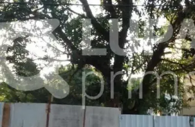 Terreno à venda na Avenida Nova Cantareira, 3024, Tucuruvi, São Paulo