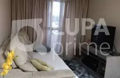 Apartamento com 3 dormitórios á venda na cachoeirinha