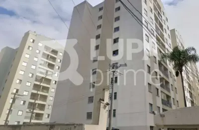 Apartamento com 2 dormitórios à venda na vila guilherme
