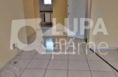 Apartamento com 3 quartos e 1 vaga de garagem para venda, vila maria, são paulo