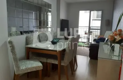 Apartamento com 3 dormitórios sendo 1 suíte á venda na vila guilherme